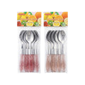 Set de cucharas de postre / 6 piezas acero inoxidable y resina
